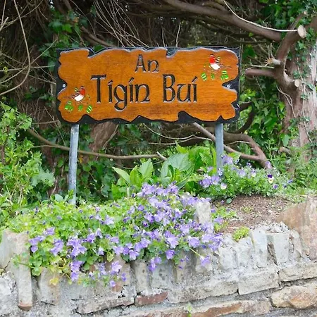 An Tigin Bui Villa Glanbannoo Upper Exterior photo